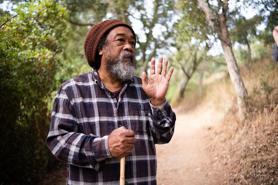 Mooji