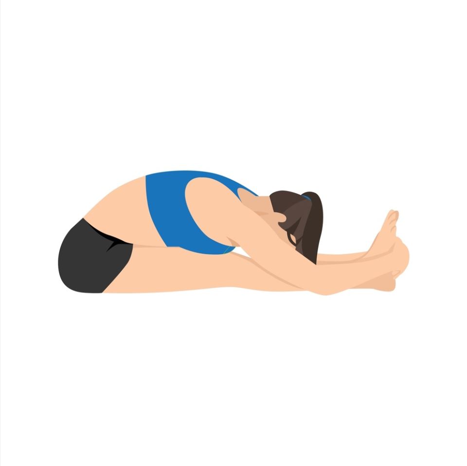 Paschimottanasana.jpg