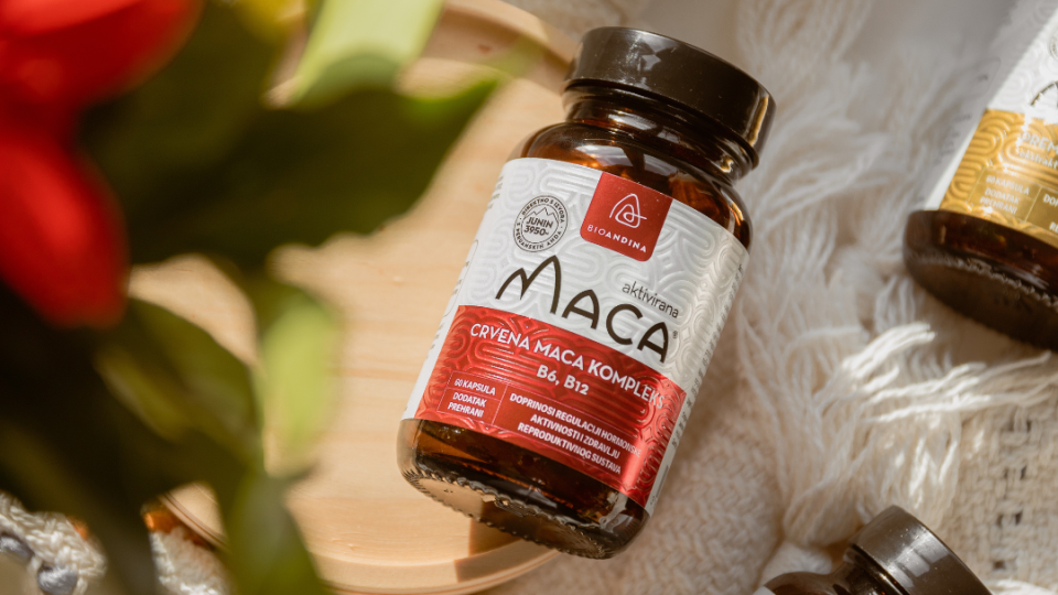 Crvena maca
