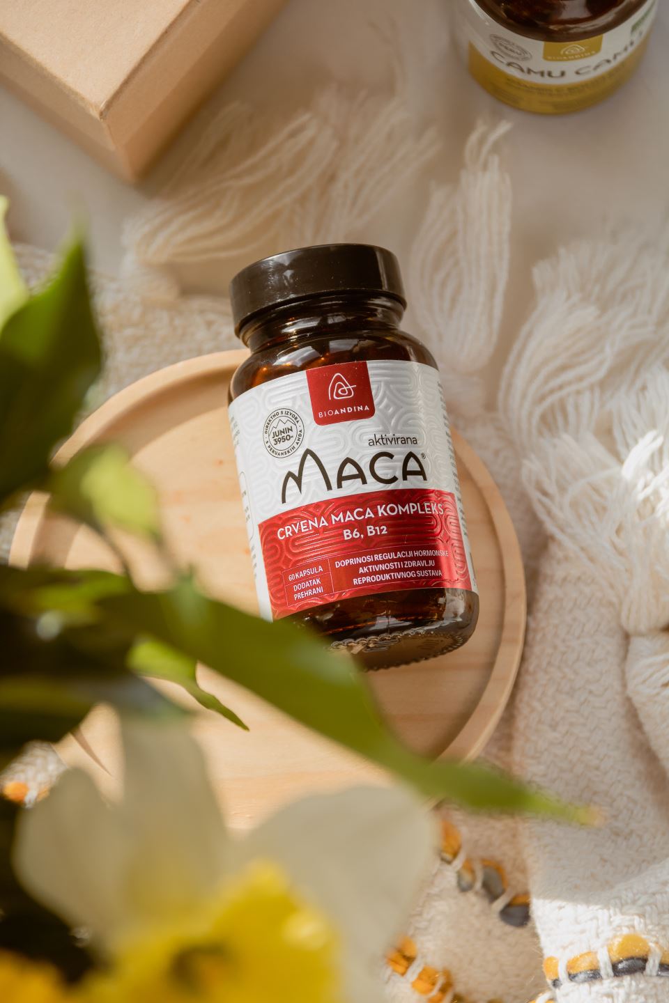 Crvena maca