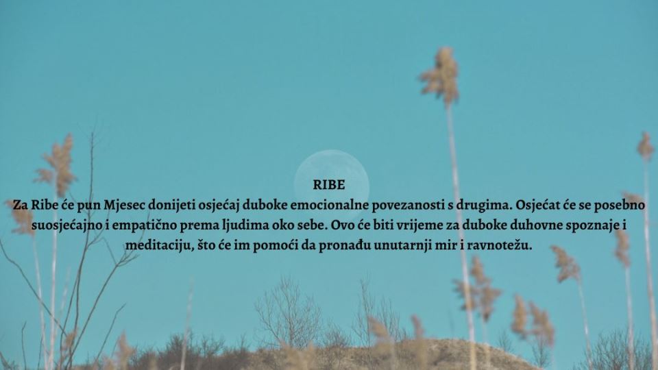 Pun Mjesec