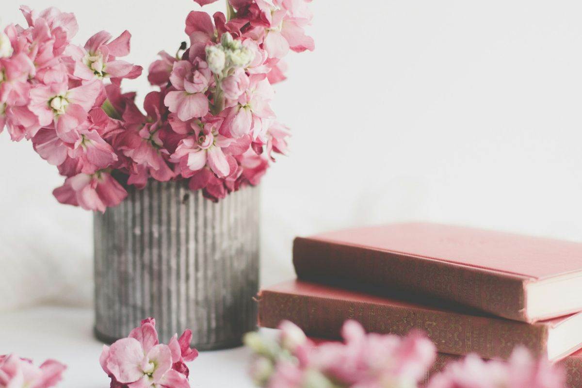 mudre misli immanuela kanta