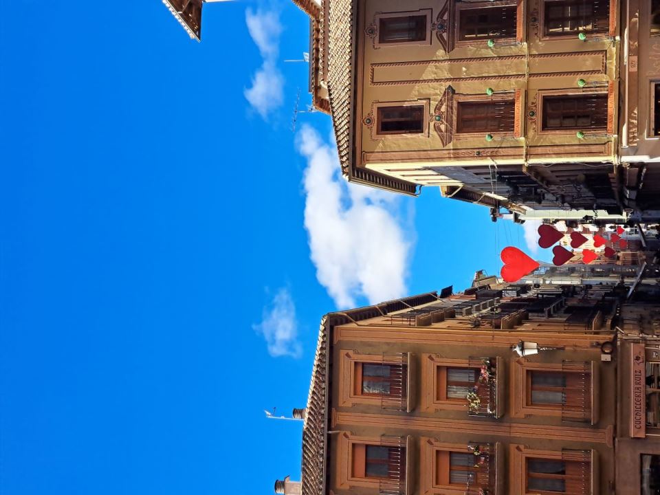 20250208_114428.jpg