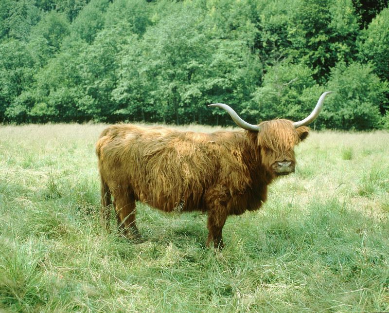 logarska dolina 3